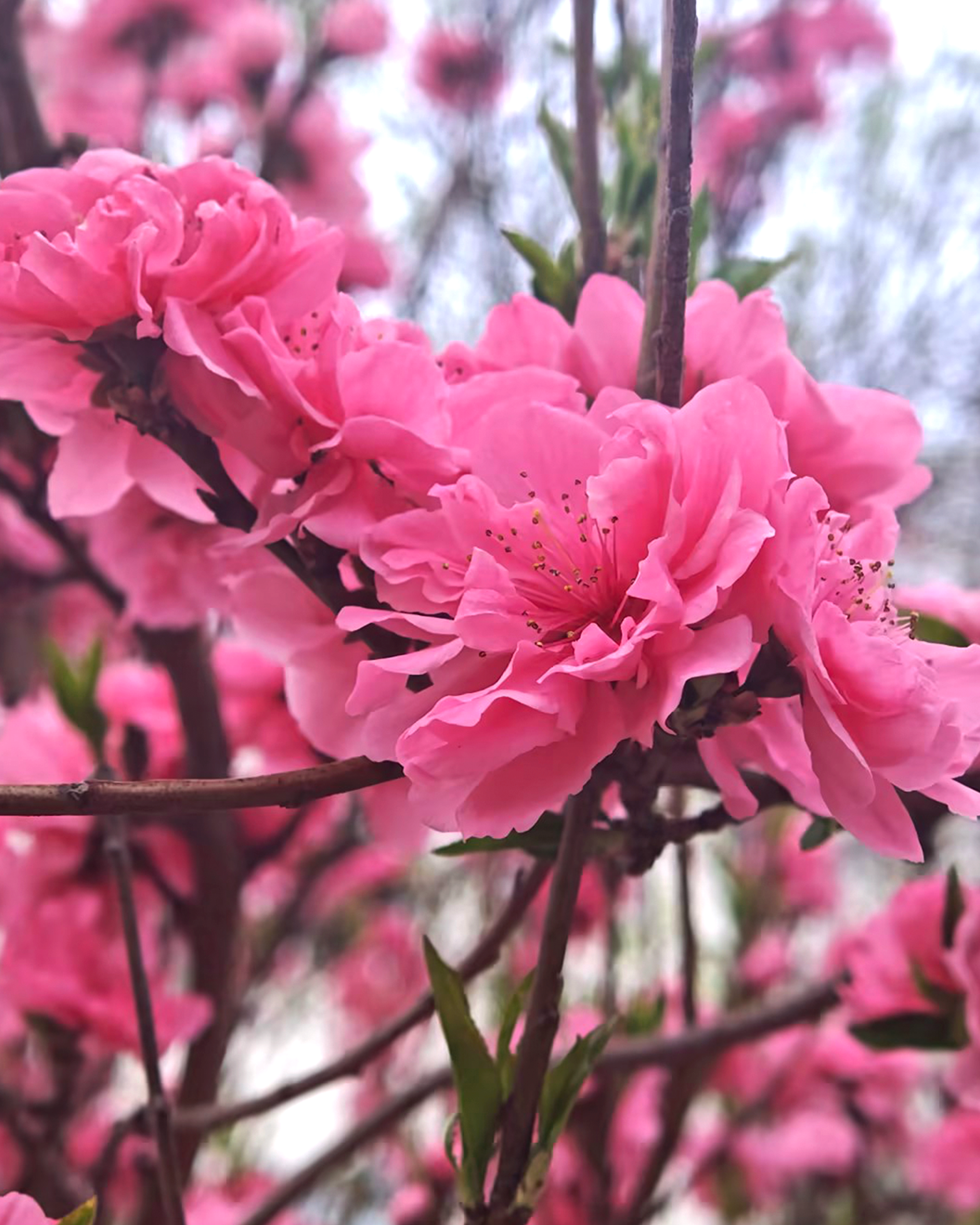 九州ku酷游·(中国集团)官方网站