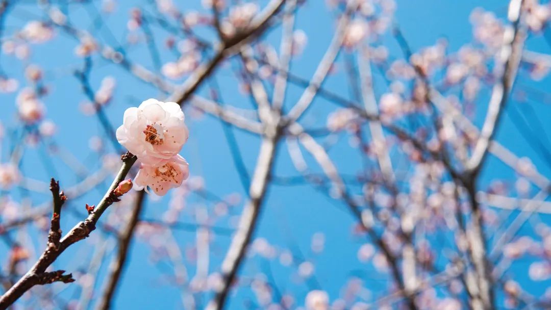 九州ku酷游·(中国集团)官方网站