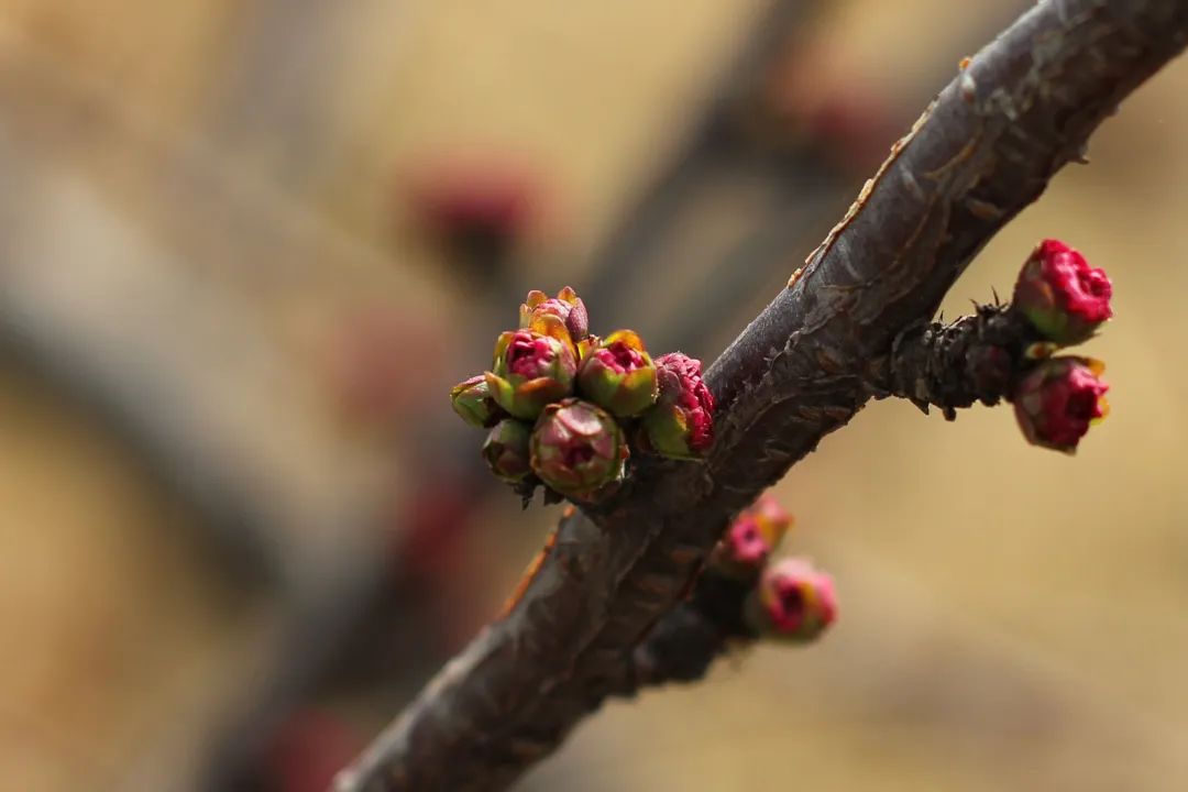九州ku酷游·(中国集团)官方网站