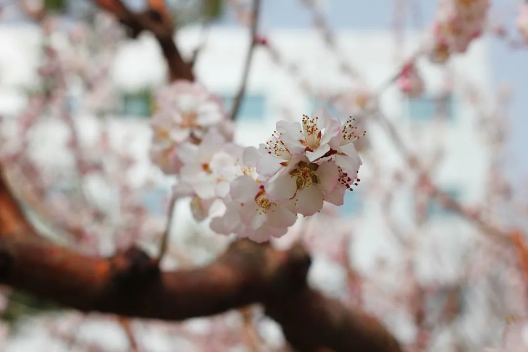 九州ku酷游·(中国集团)官方网站