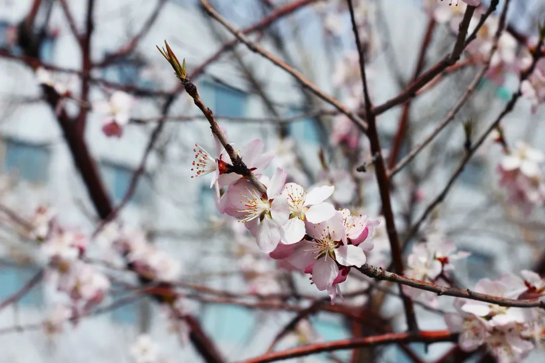 九州ku酷游·(中国集团)官方网站
