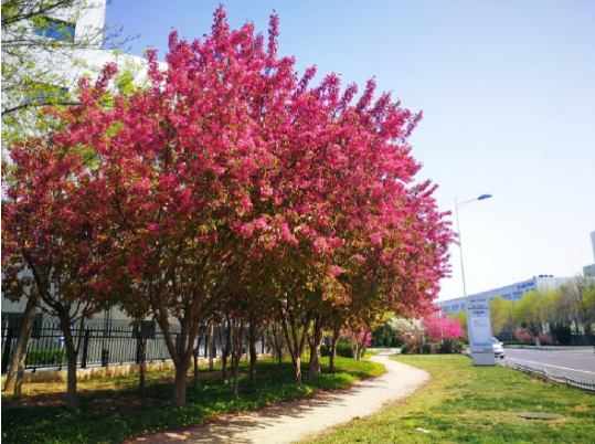 九州ku酷游·(中国集团)官方网站